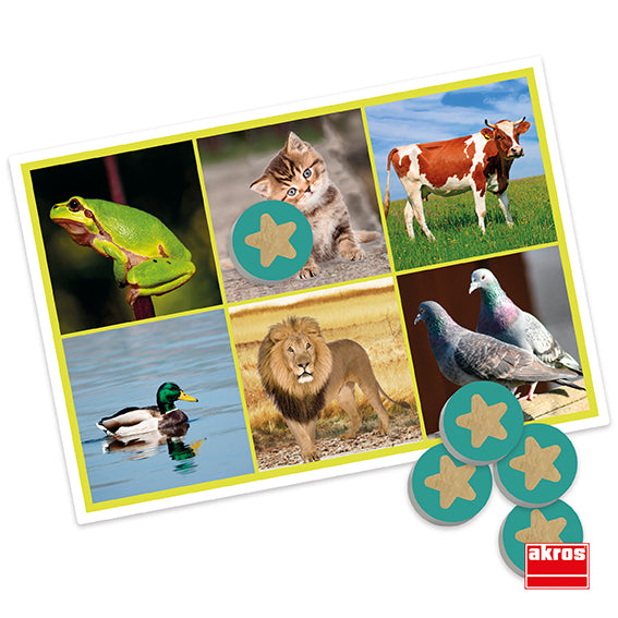 Bingo de sons de animais e da natureza