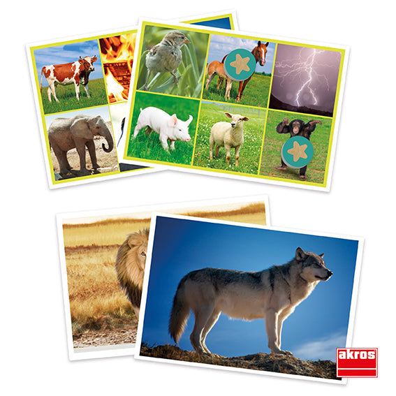 Bingo de sons de animais e da natureza