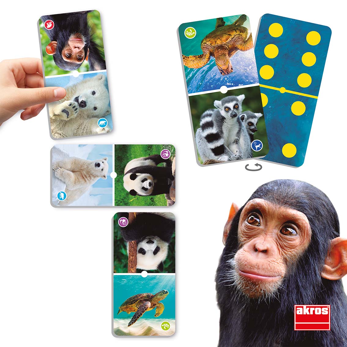 Dominó Animais em extinção