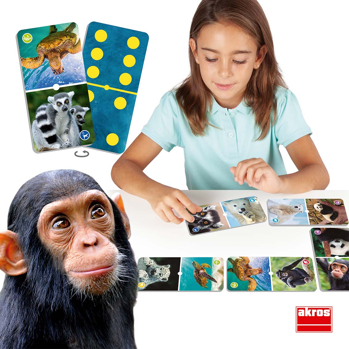 Dominó Animais em extinção