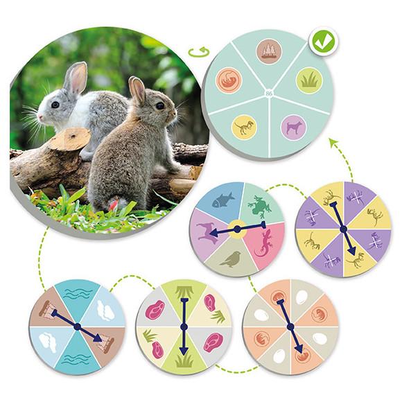 Jogo O mundo animal: Descobre e classifica