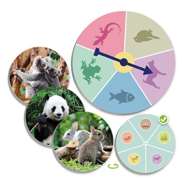 Jogo O mundo animal: Descobre e classifica