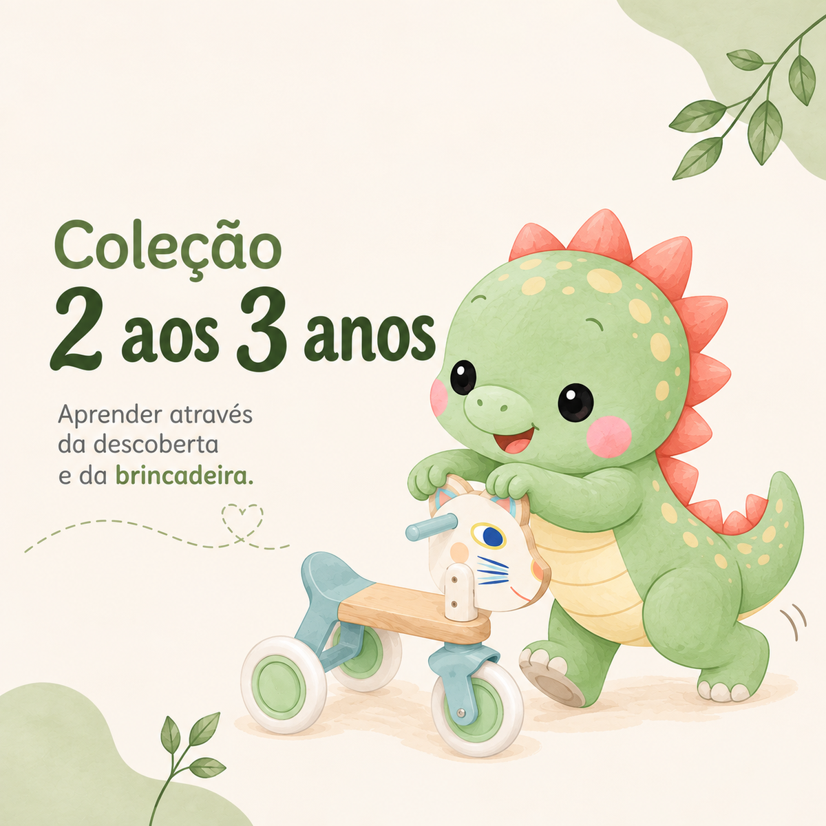 2 aos 3 Anos