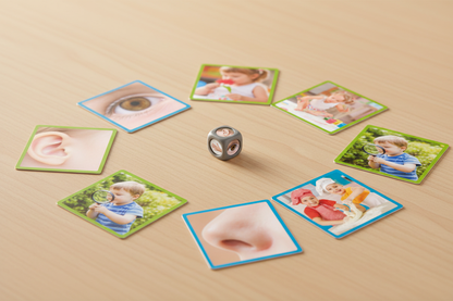 Jogo Os 5 Sentidos — lifestyle dado pequeno entre os cartões na mesa